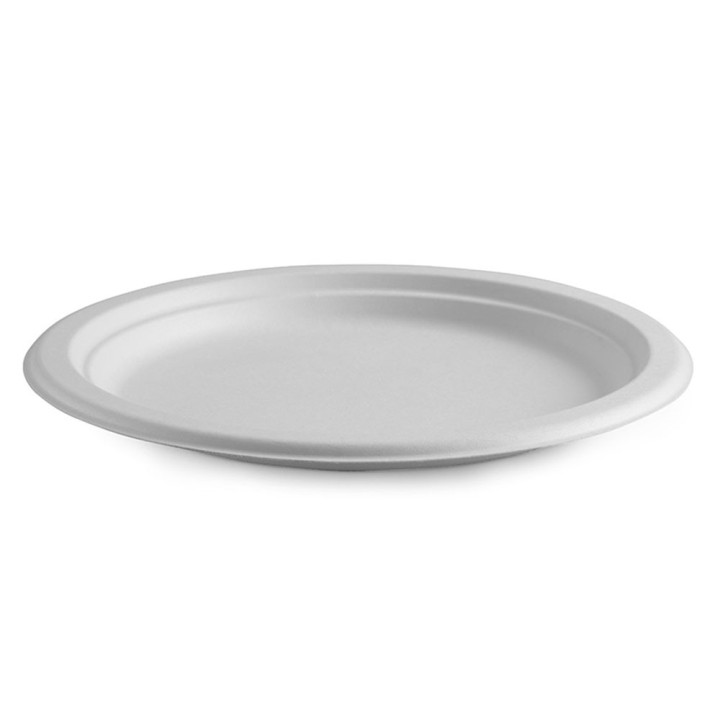 25cm plates - 10pk - white  120 pcs